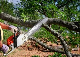 Best Landscape Design and Installation  in Homeland, GA